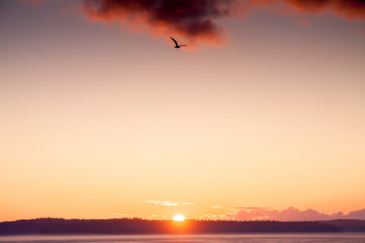 Midnight Sun Setting Against Golden Sky