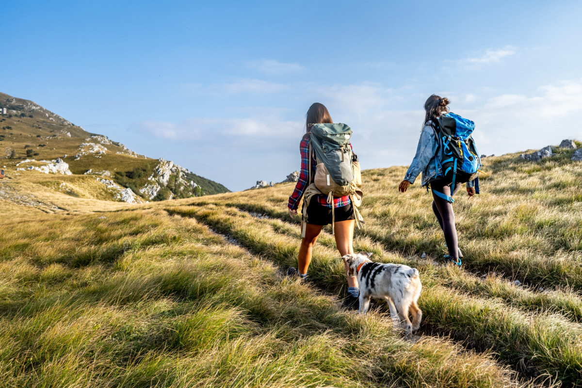 Hiking in the Vacaville hills in California
