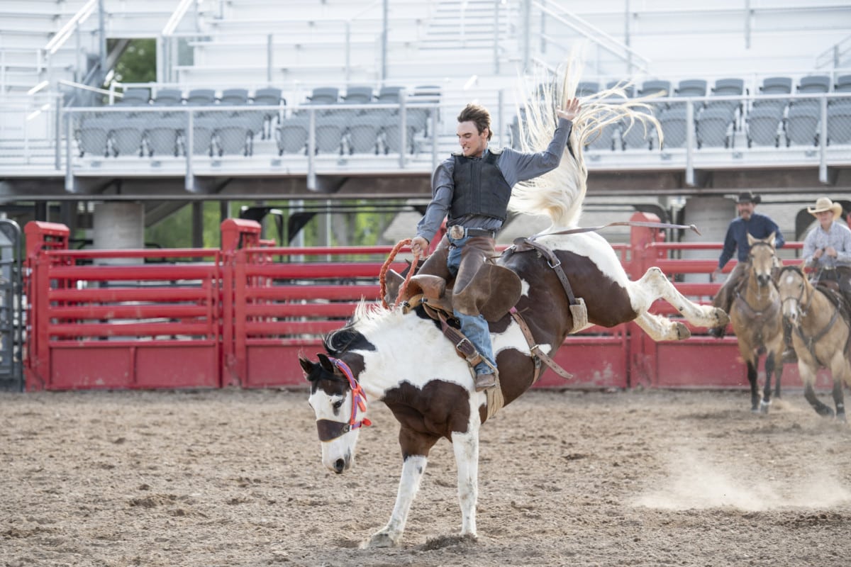 Cowboy rodeo riding bucking bronco horse in western USA