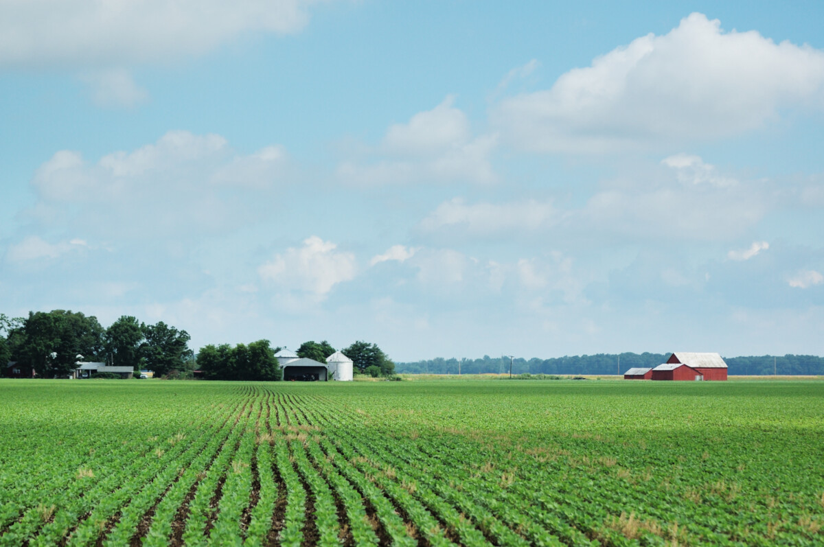 Indiana soybean field and farm