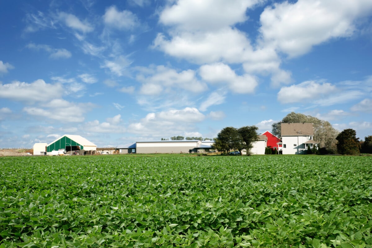 Farm in Kansas