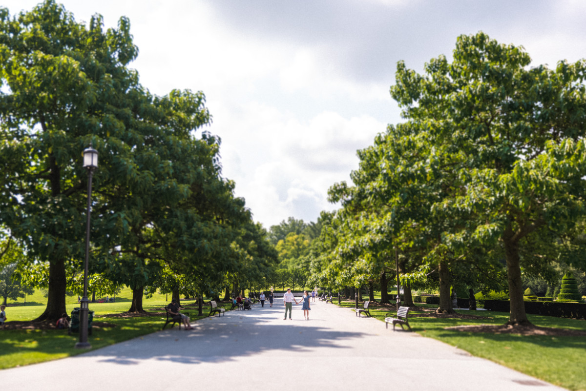 A couple standing in a park