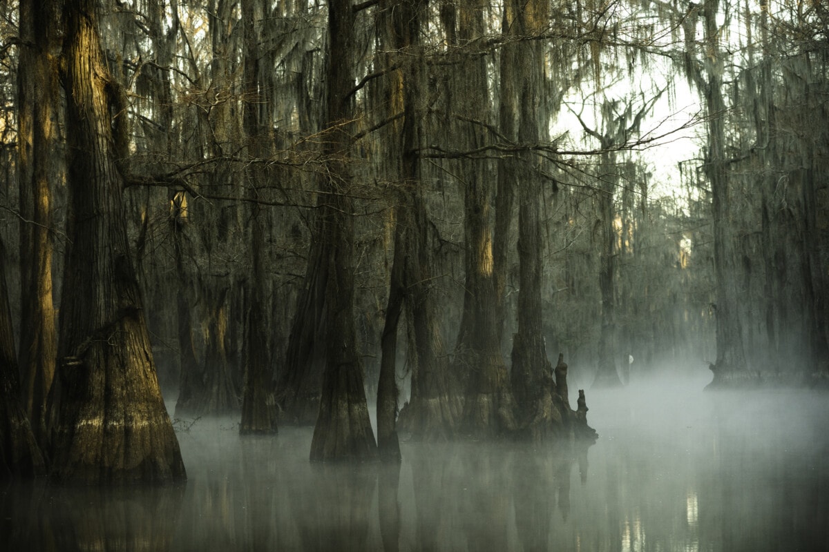 Bayou