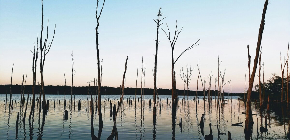 manasquan reservoir at low angle in new jersey