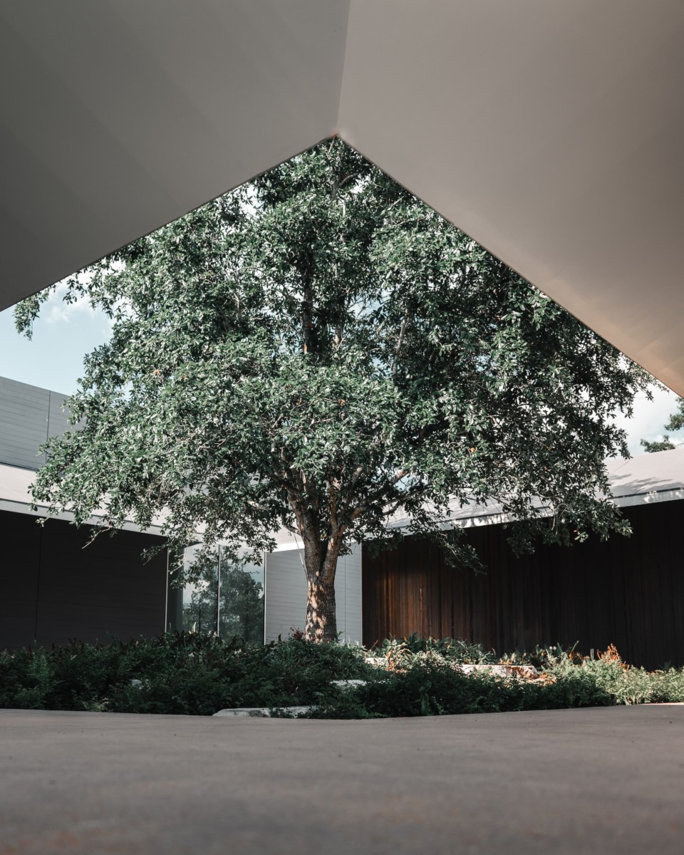 The Menil collection 