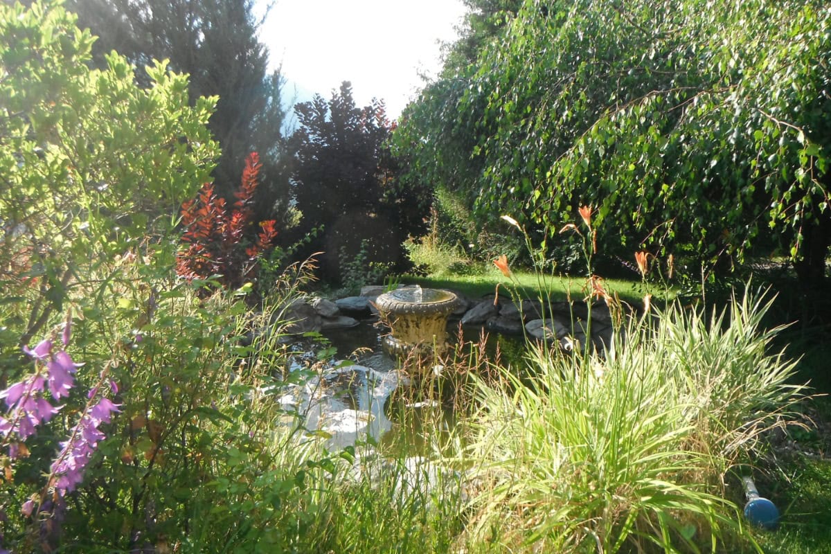 Water fountain surrounded by biodiverse garden