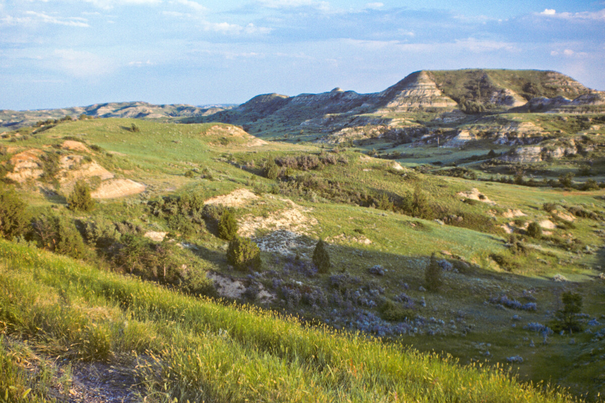 The Badlands at Sunset