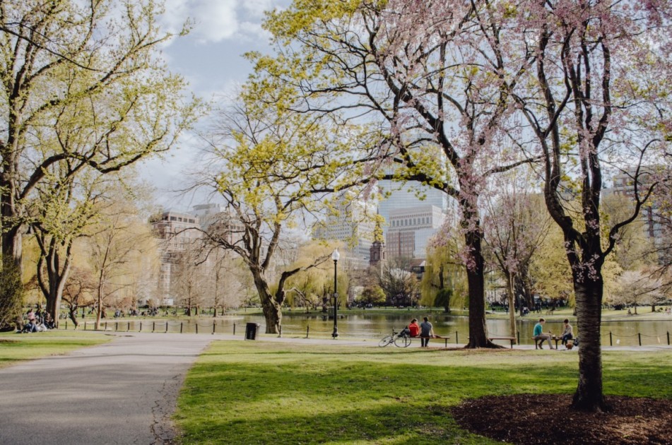 Boston Common Park