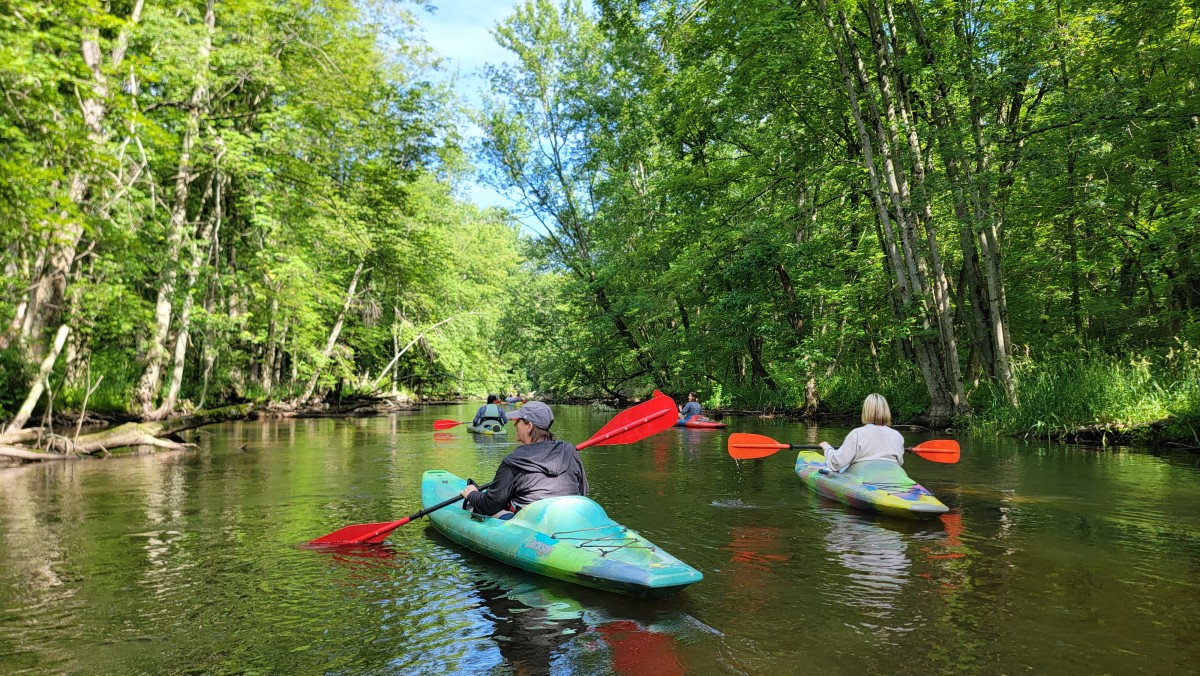 People kayaking down a river