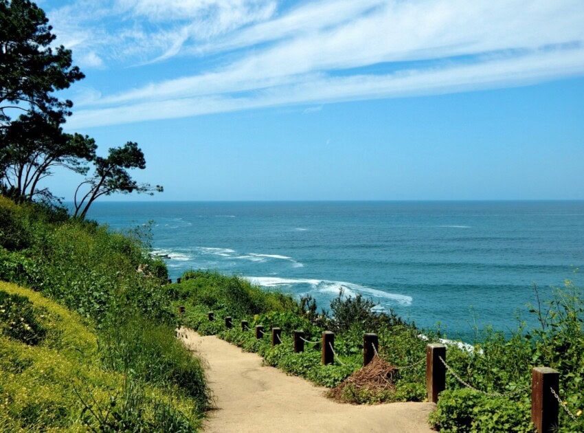 A bayside trail with Torrey Pine trees to add to a San Diego bucket list