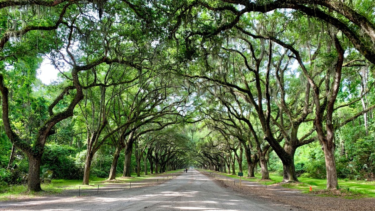 Savannah, Georgia