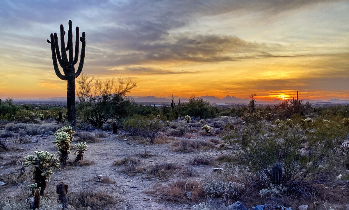 McDowell Sonoran Conservancy Gateway Trailhead in Scottsdale, Arizona