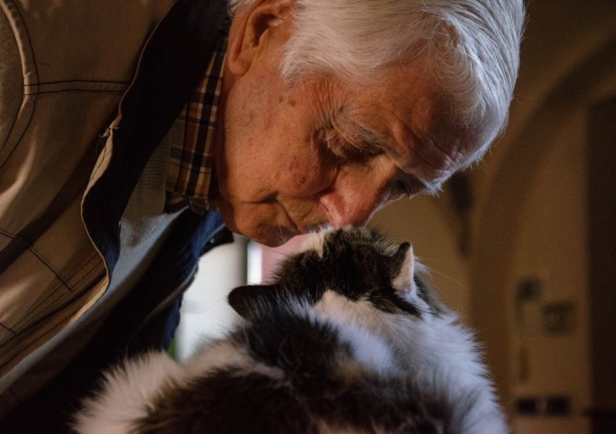 Man and kitten