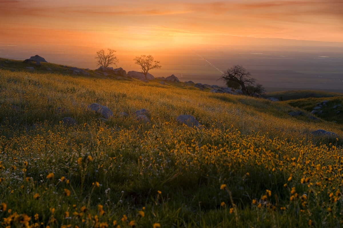 Vacaville hillside in California