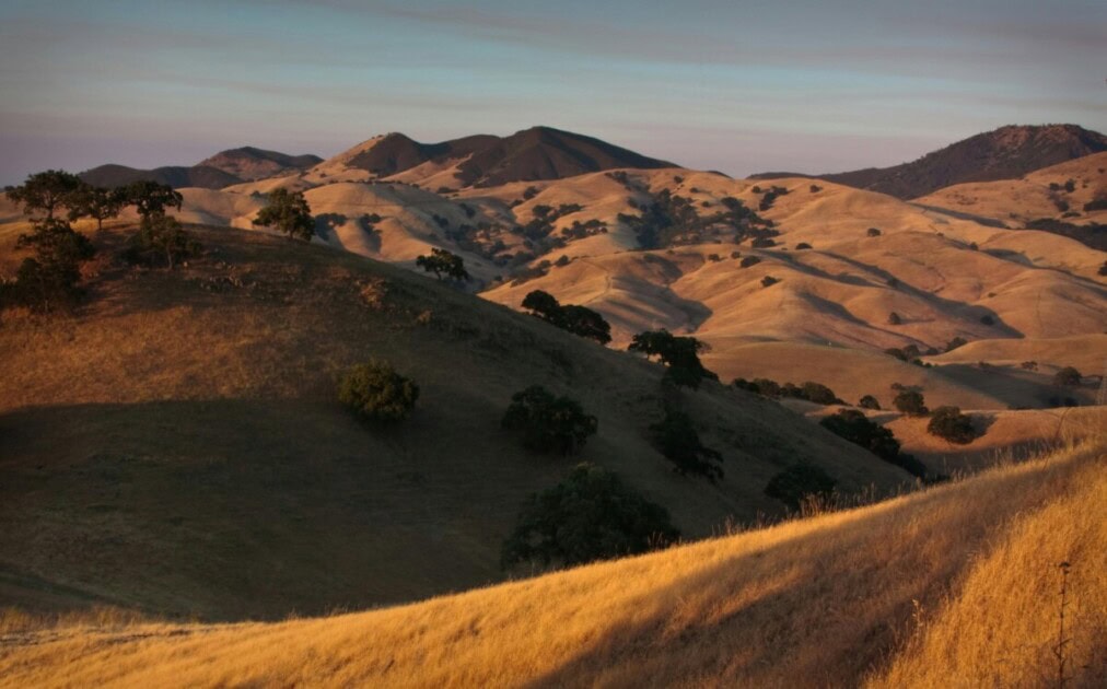 The golden hills of Walnut Creek, CA