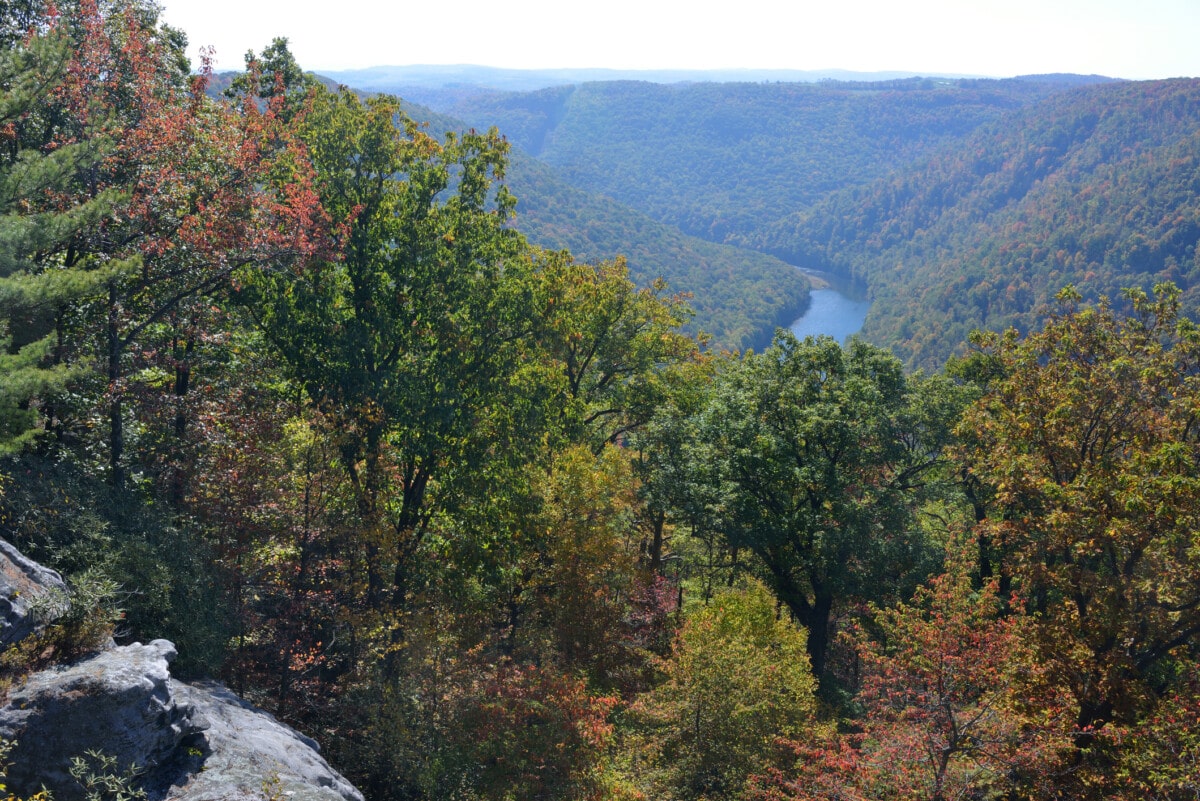 view of mountains and trees in West Virginia_Getty