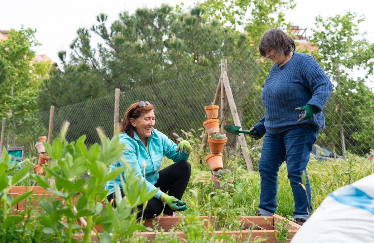 Women in their 60s working in an organic community garden. Sustainable future. Healthy life style