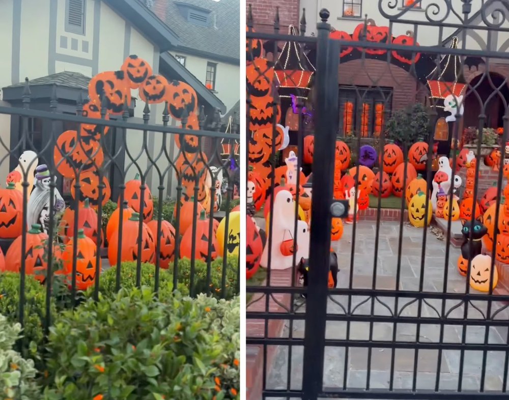 Chynna Phillips Jokes She was Upstaged by Neighbor's Extravagant Halloween Decorations at California Home
