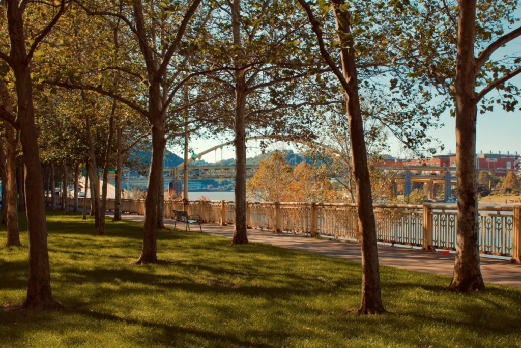 affordable pittsburgh suburb trees on sunny day