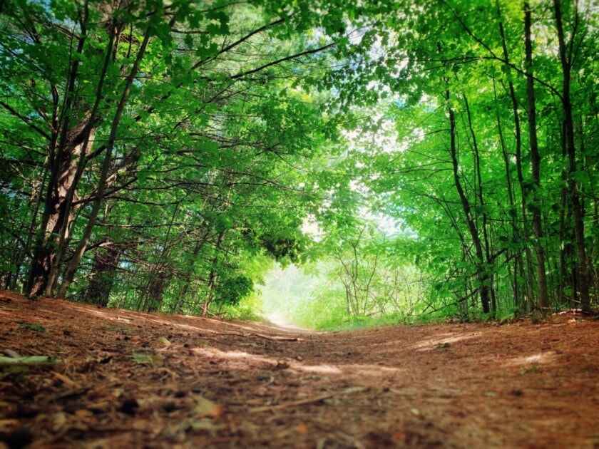 Barfield Crescent Park in Murfreesboro, TN