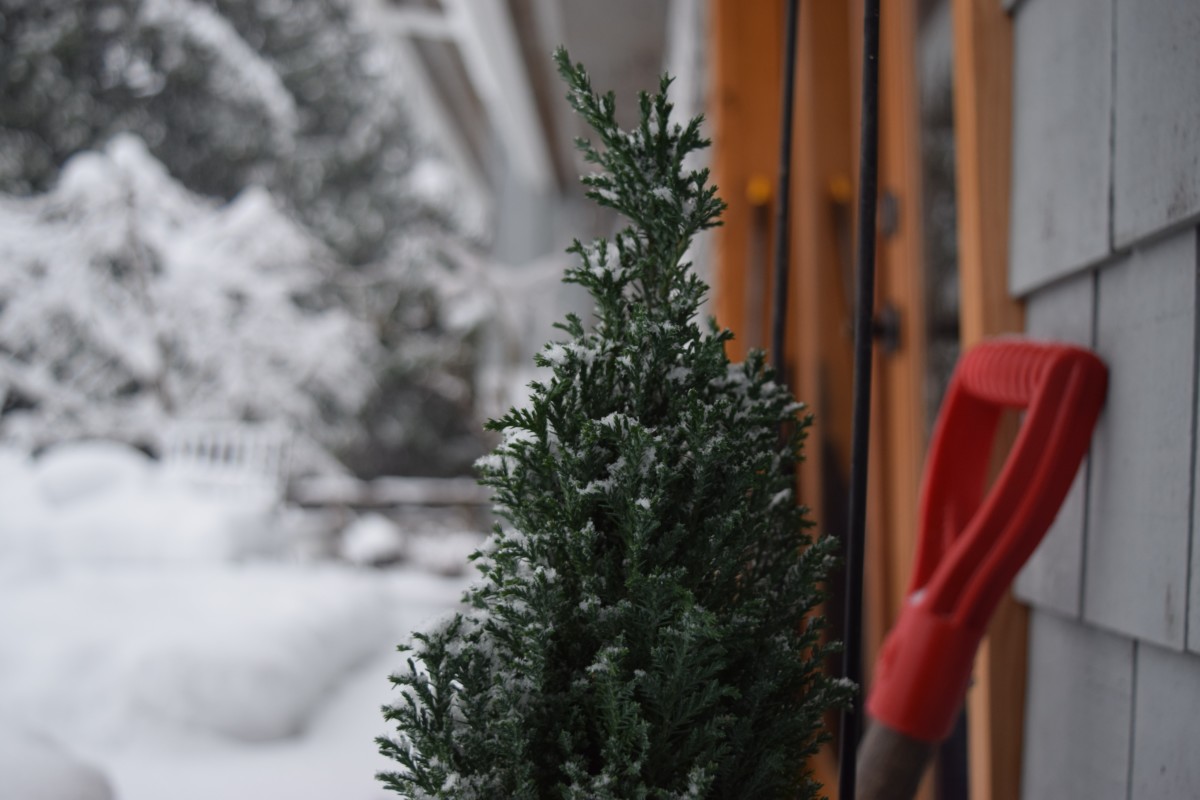shovel used for snow removal at home 