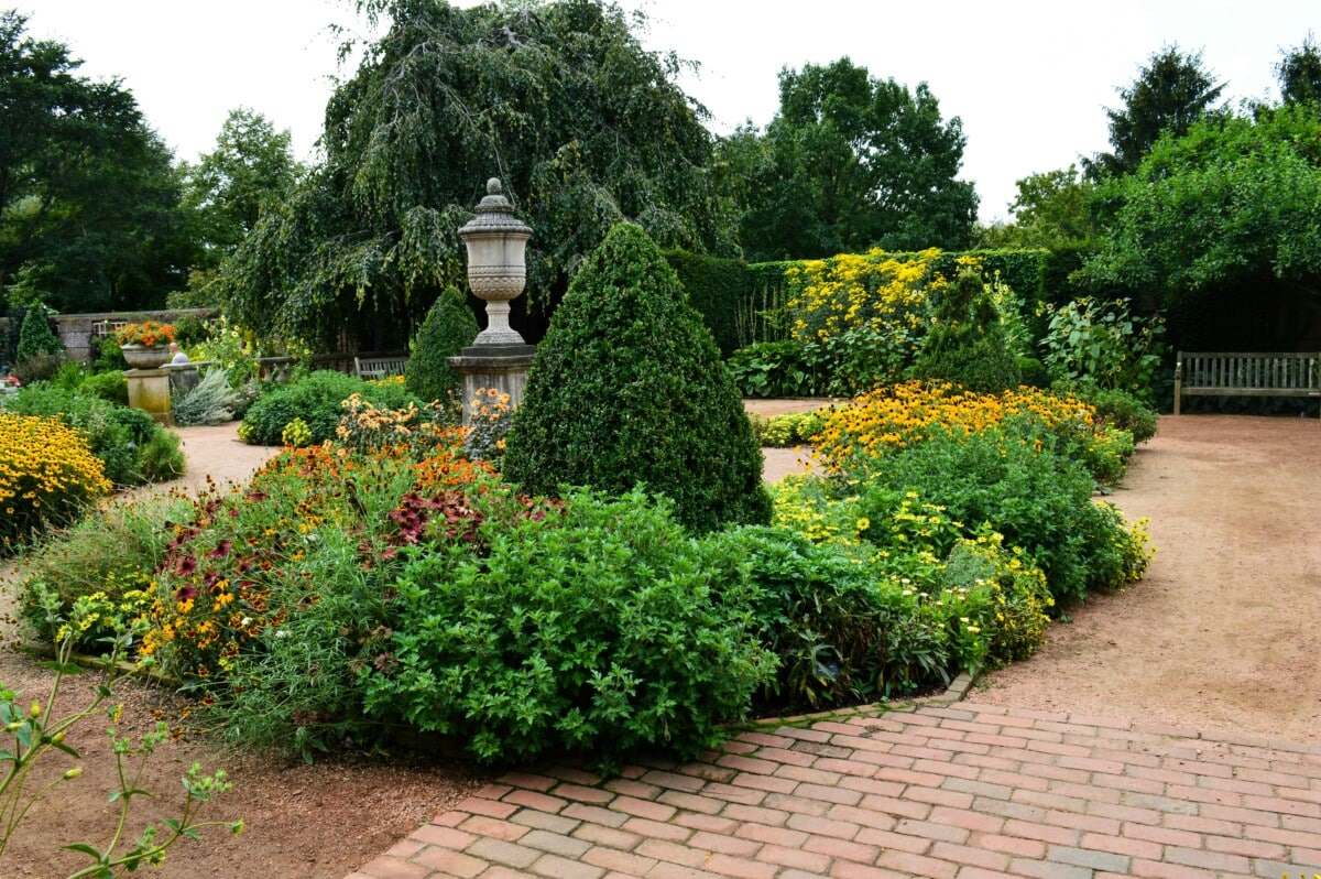 A garden