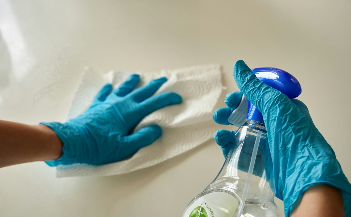 cleaning kitchen appliances is easier than you think