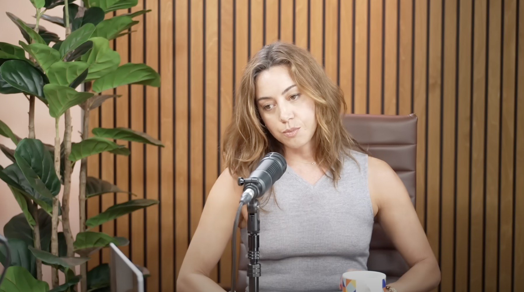 Aubrey Plaza Opens Up to Amy Poehler About Her 'Daily Struggle' Behind Closed Doors to Overcome Husband Jeff Baena's Suicide