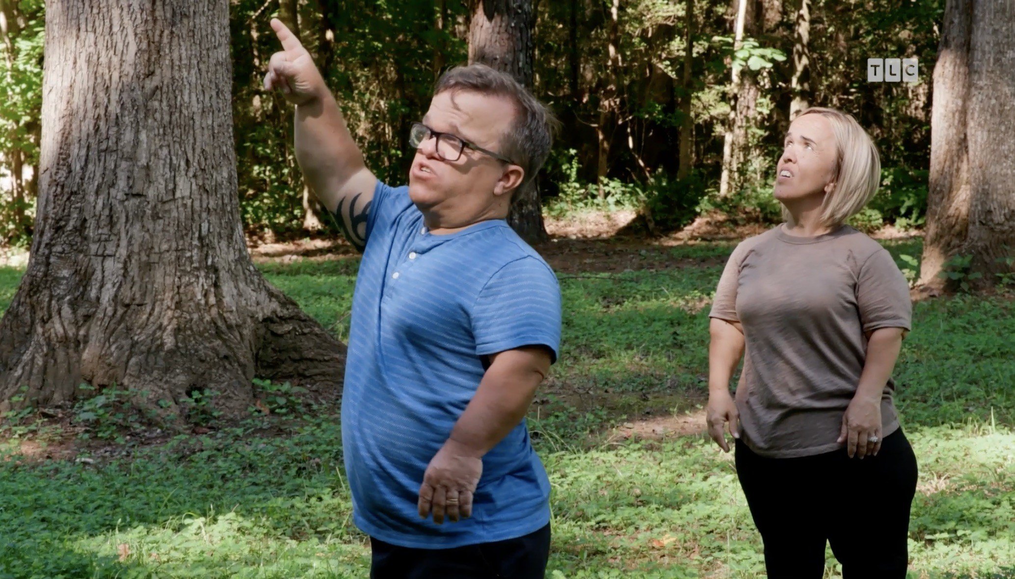 Trent reveals that the hardwood in question is already slated to be cut down.