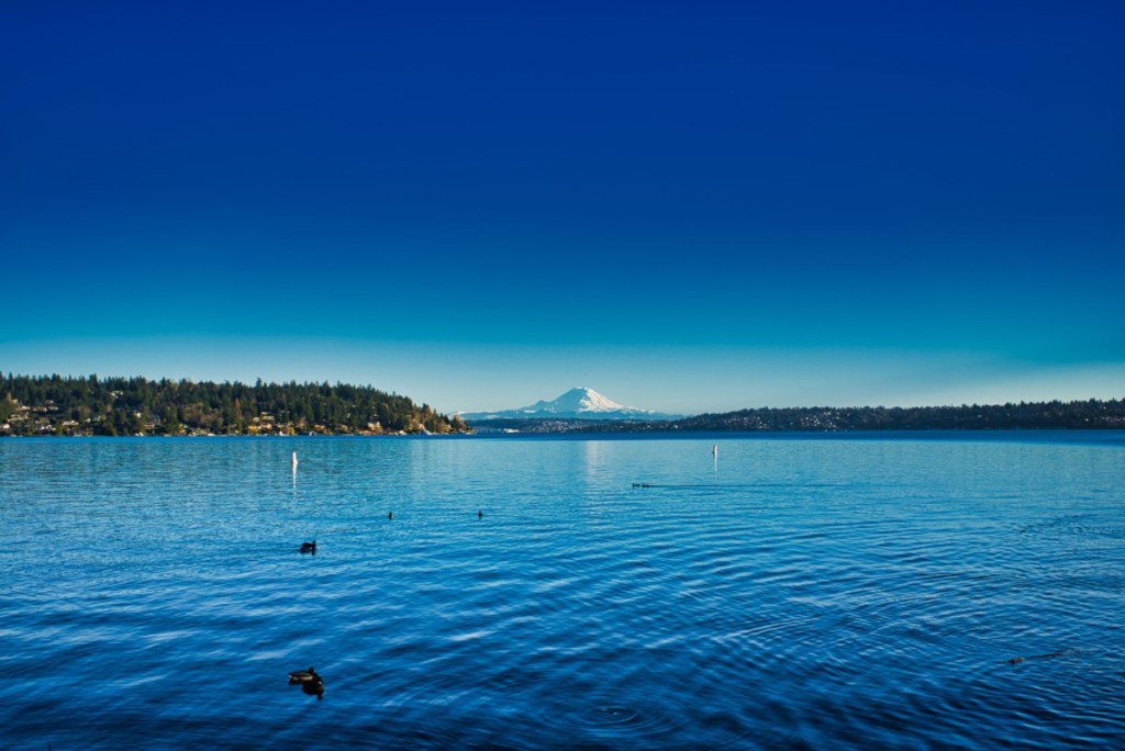 seward park in seattle