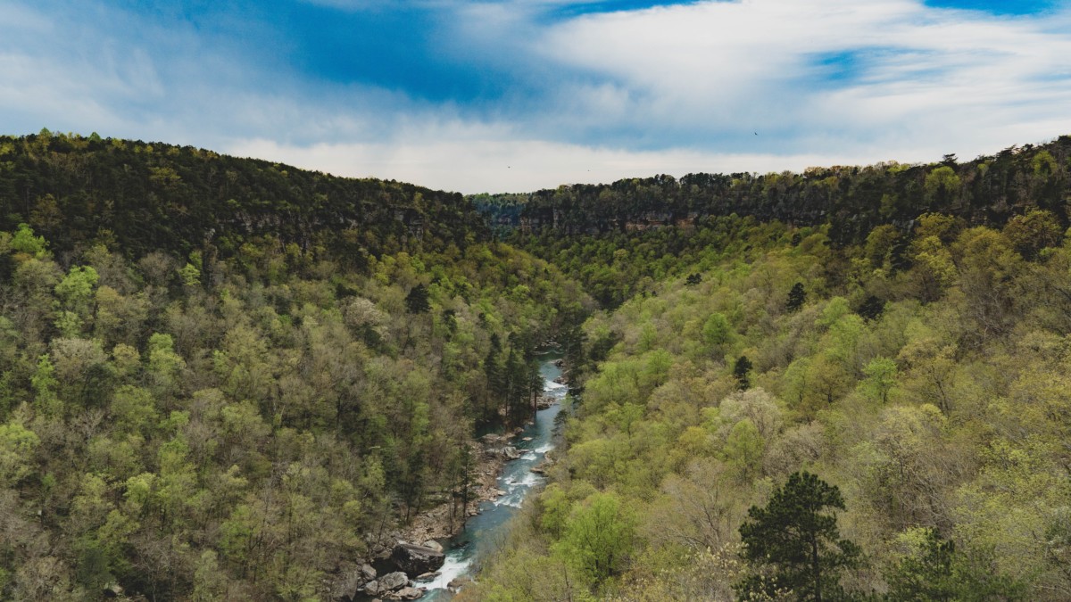 view from affordable birmingham suburbs in the alabama wilderness