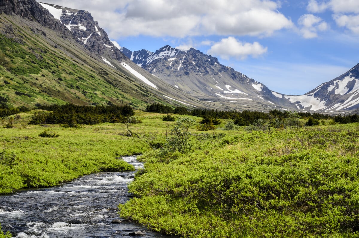 campbell creek in anchorage alaska_shutterstock