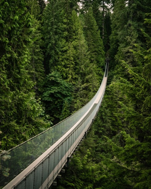 Capilano Suspension Bridge