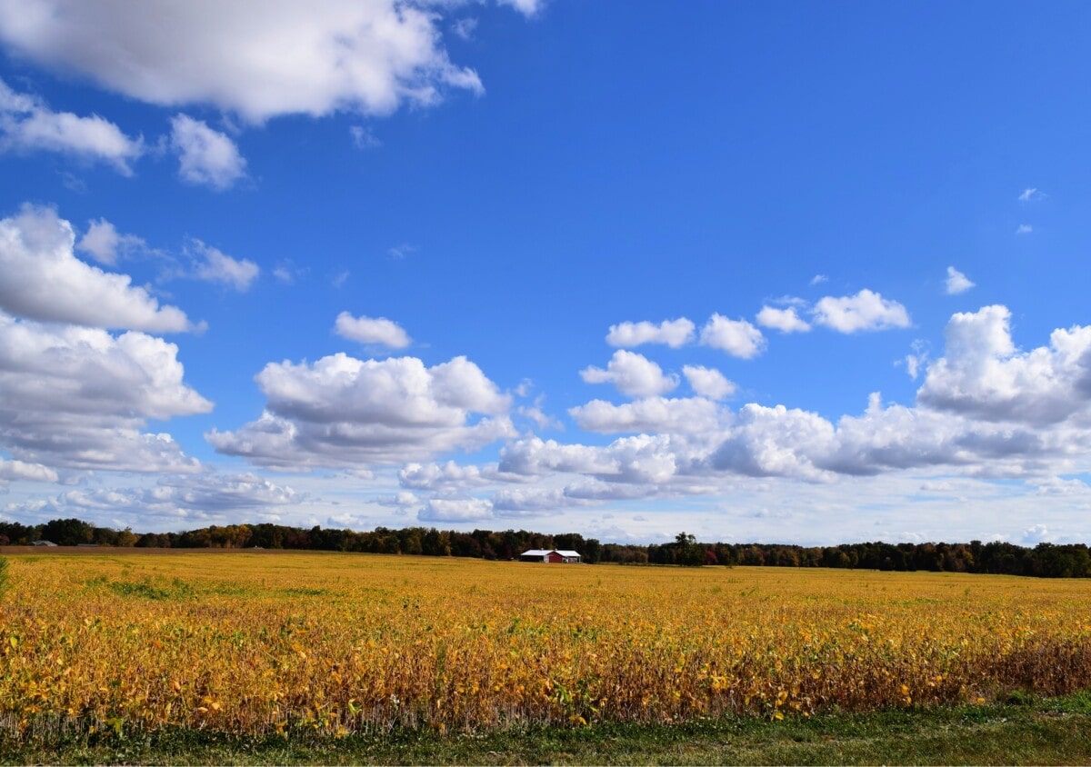 columbus indiana farmland with fields