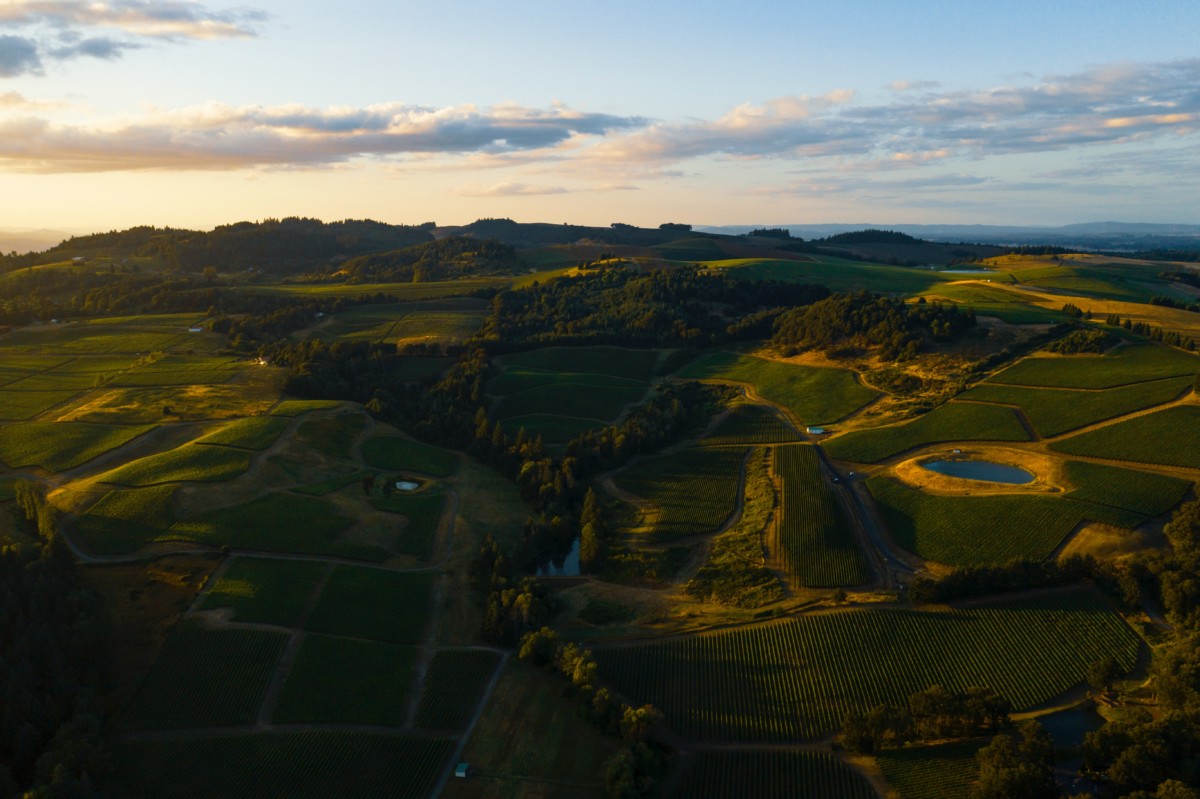 a view of the willammette valley