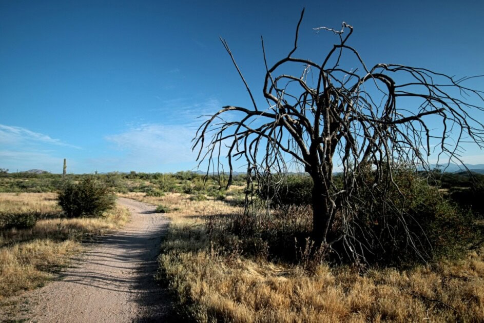 The McDowell Sonoran Preserve is a must visit.