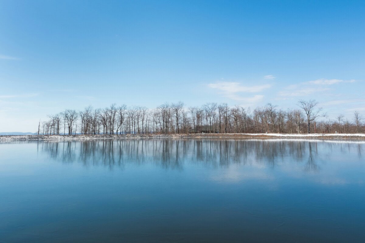 deep creek lake in winter with barren trees