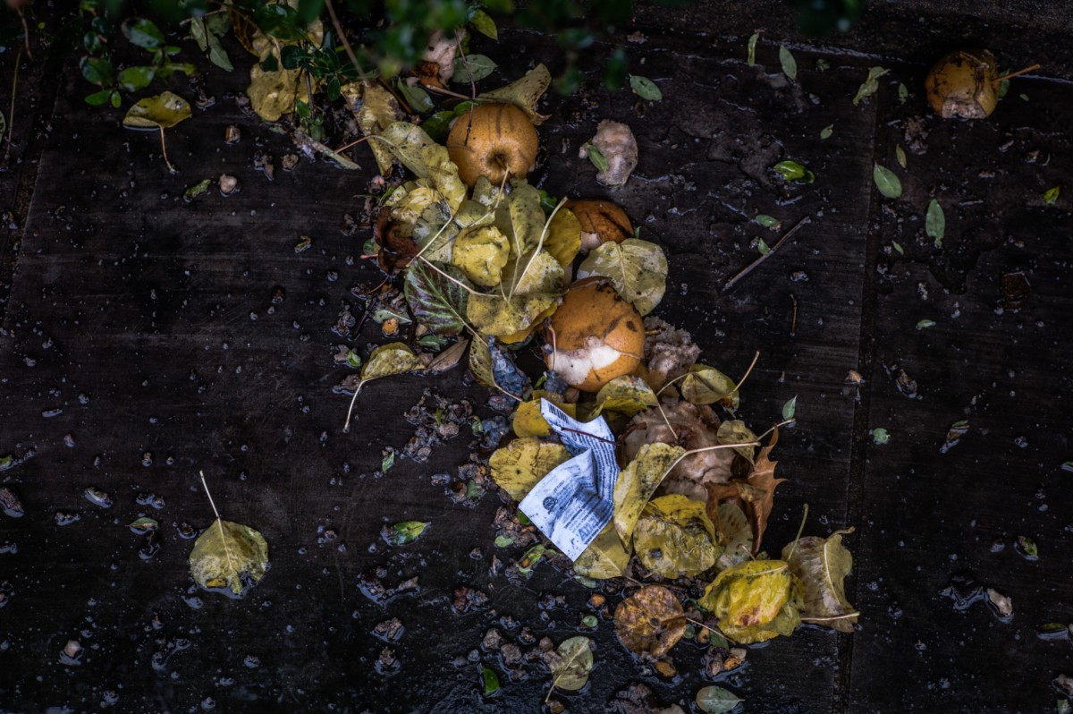 compost-in-an-apartment-4