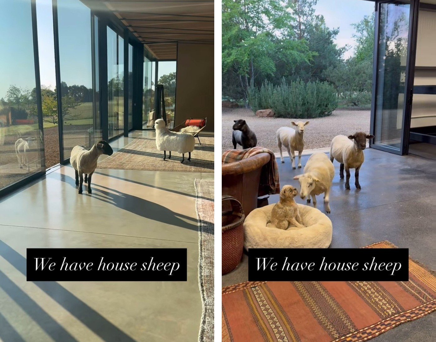 Ellen DeGeneres Selling U.K. Farmhouse for $30 Million—Just One Year After Buying It