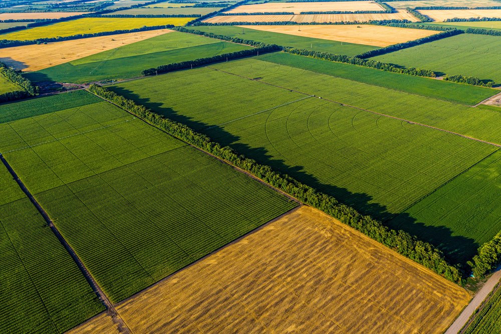 Aerial Flying Over corn, sunflowers, soybean and fields with str
