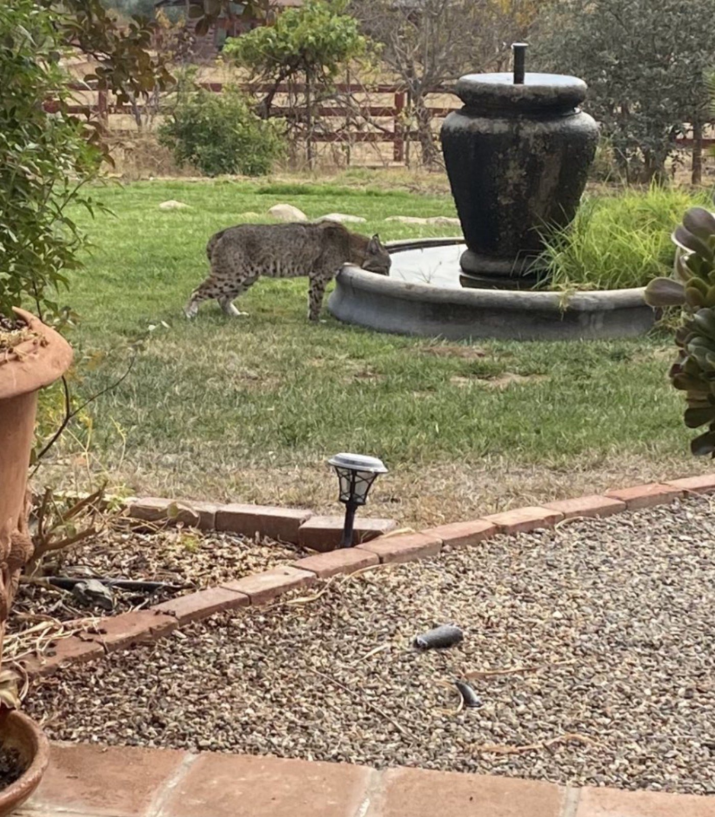 Kelly LeBrock shows off life on her ranch