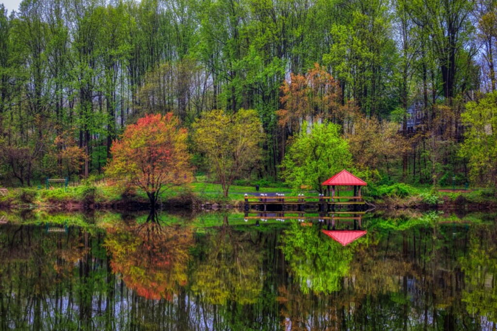 fall in columbia md with red orange and green trees by lake