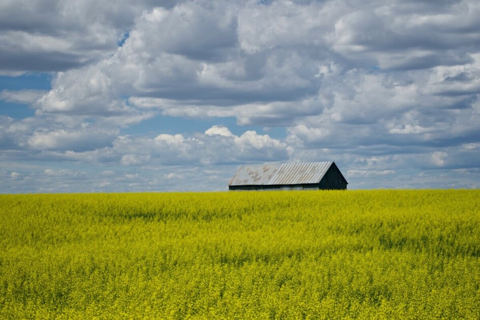 A farm in Boise, Idaho