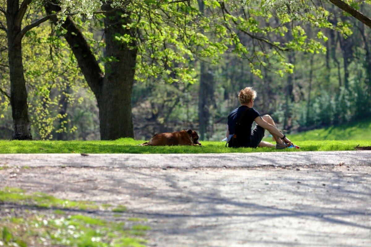 man lounging in Frick Park in Pittsburgh, PA