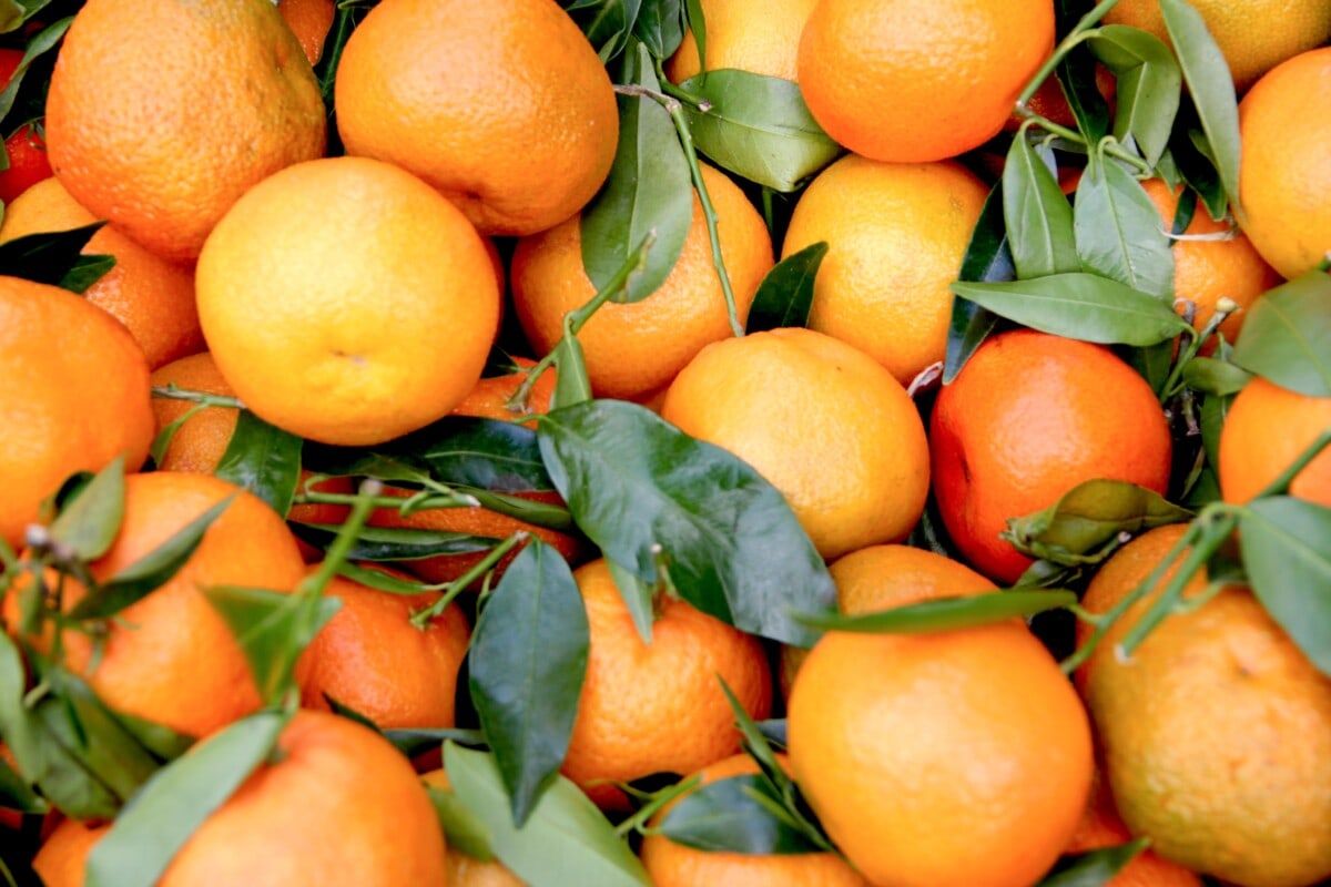 Mandarin oranges