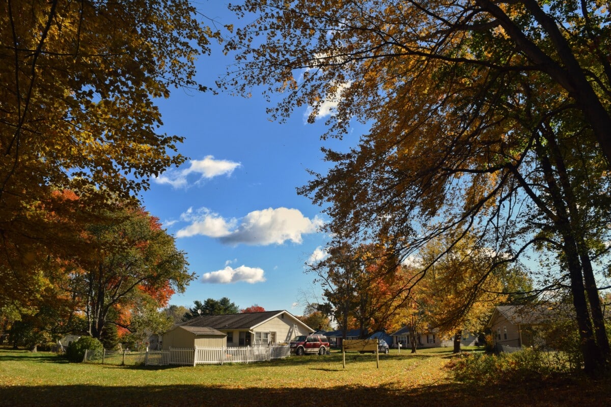 house and trees in delaware