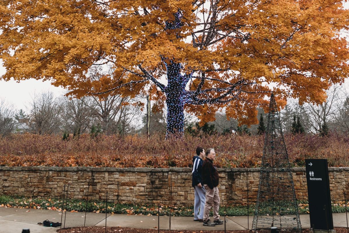 unique things to do at newfields indianapolis