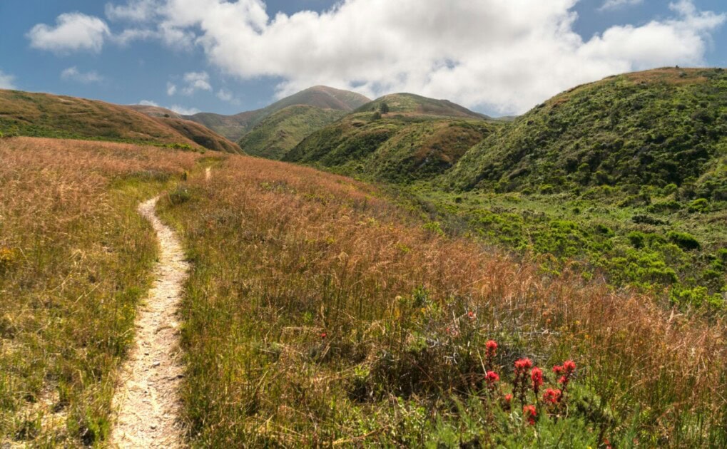 A hiking trail with luscious hills at Montaña de Oro State Park, a summer thing to do in San Luis Obispo