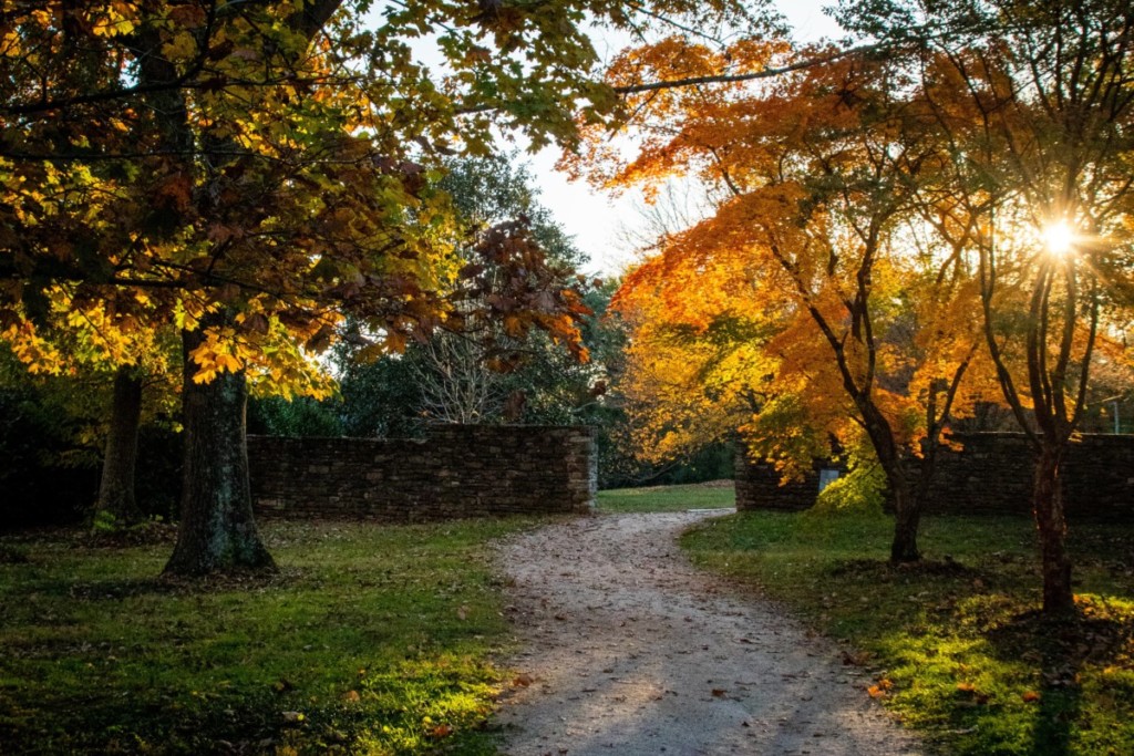 knoxville path in the park with orange and yellow trees