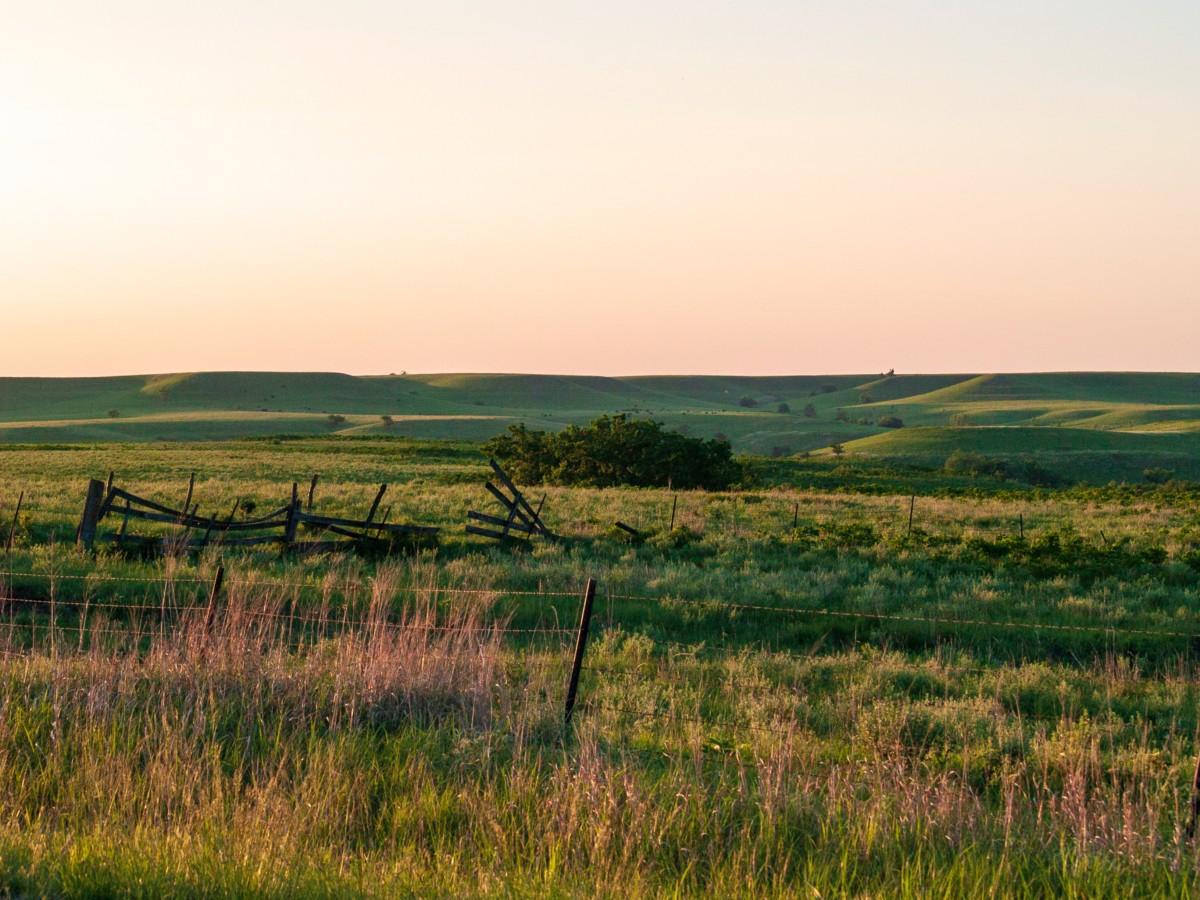 field in kansas with wildflowers
